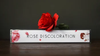 Rosas Descoloração (Gimmick Rosa e Instrução) de Truques de Magia de Palco de Magia Flor Parecem Desaparecer Magie Ilusão de Artifício Adereços