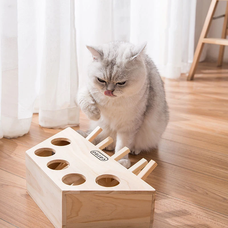 2021new gato brinquedo caça caça rato gato caixa de jogo 3 em 1 com  scratcher engraçado gato vara gato hit gophers interativa labirinto  brinquedo